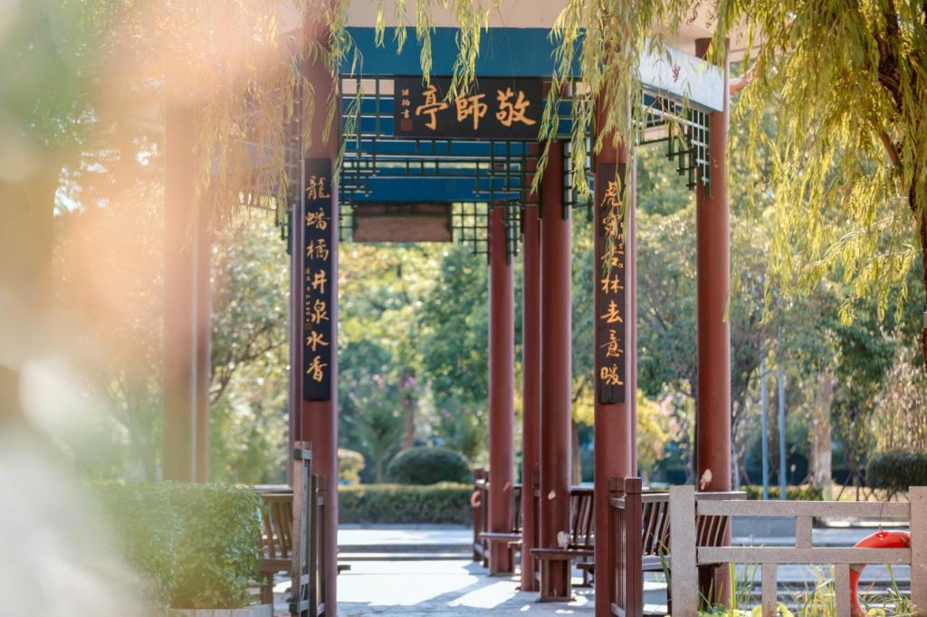中流击水 “医”脉相传——记2024年全国教育系统先进集体雷竞技RAYBET最新版_fororder_图片3